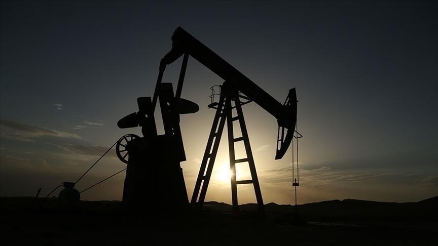 Petrol fiyatında düşüş