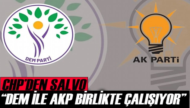 'DEM Parti AKP ile hareket ediyor'