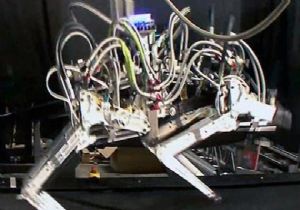 Hız Rekoru Kıran Robot: ÇİTA
