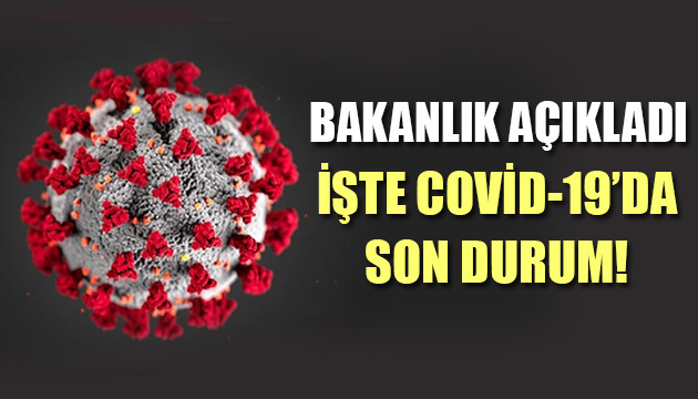 Koronavirüs tablosu açıklandı!
