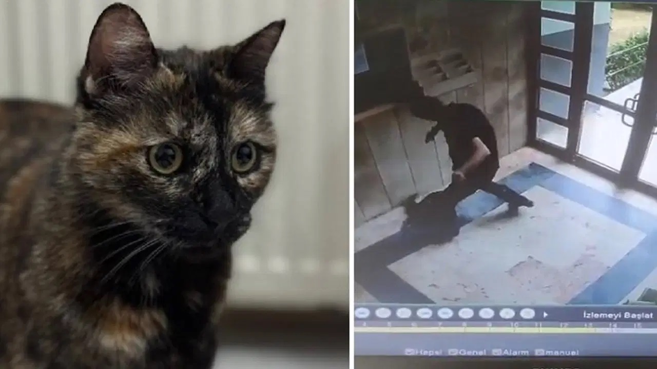 Cezve nin katilinin cezası belli oldu