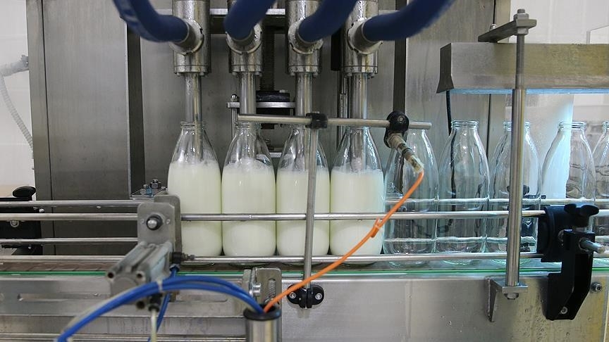 Toplanan inek sütü miktarı azaldı