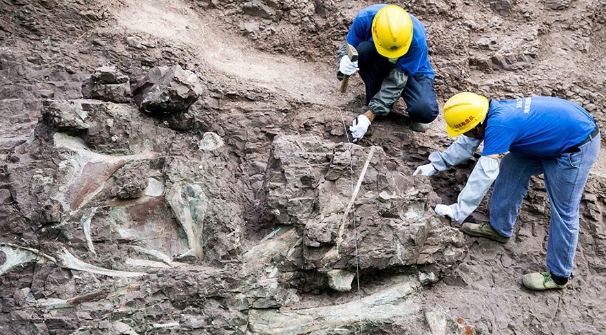 Fosil duvarından dinozor da çıktı