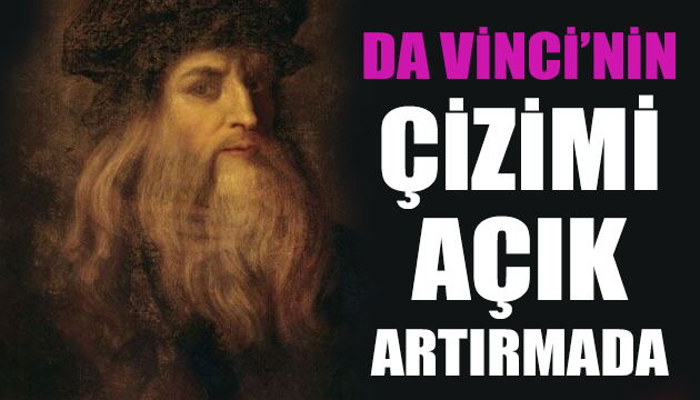 Leonardo da Vinci nin ayı çizimi açık artırmaya çıkıyor