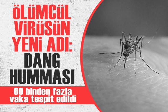 Sivrisineklere dikkat! Ölümcül hastalığın yeni adı: Dang humması