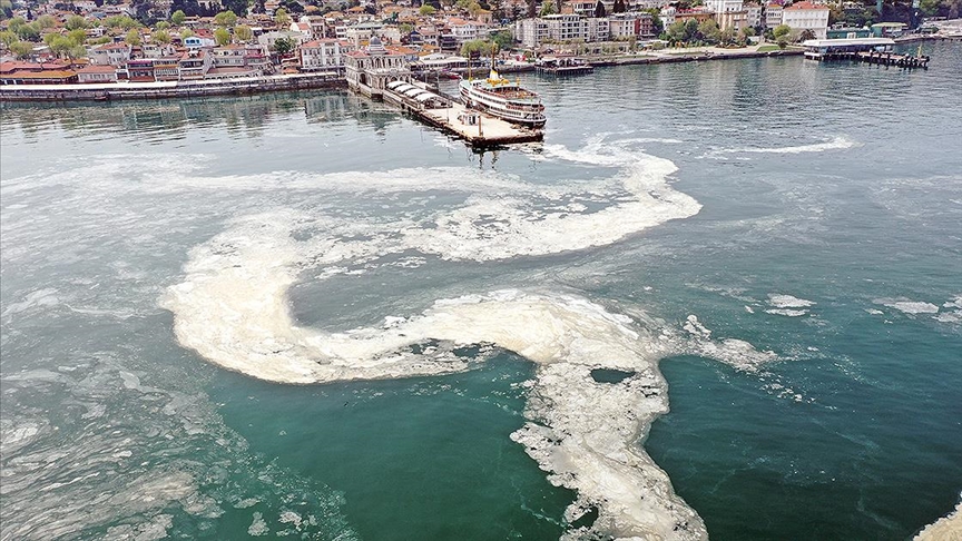 Marmara Denizi nin kabusu döndü!