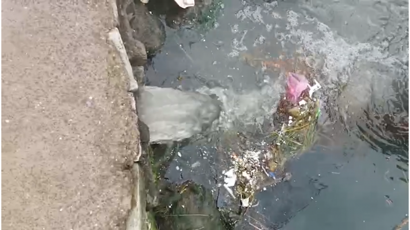 Denizi kirleten iki belediyeye ceza