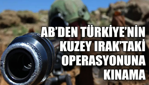 AB den Türkiye’nin Kuzey Irak’taki operasyonuna kınama