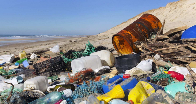 Türkiye genelinde deniz ve kıyılardan 65 bin ton çöp toplandı!