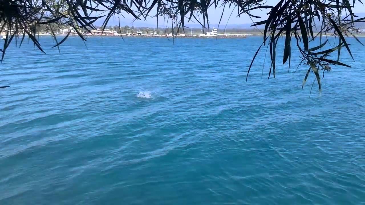 Deniz tuzuna dikkat!