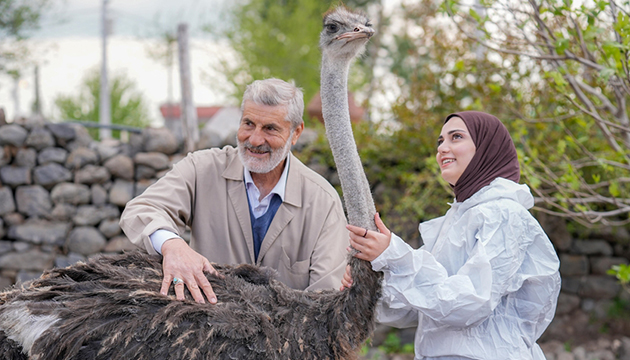 Yalnızlıktan depresyona giren deve kuşuna eş aranıyor
