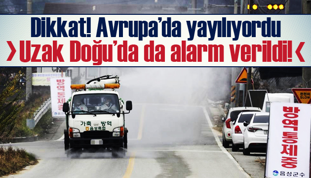 Uzak Doğu ve Avrupa da kuş gribi alarmı!