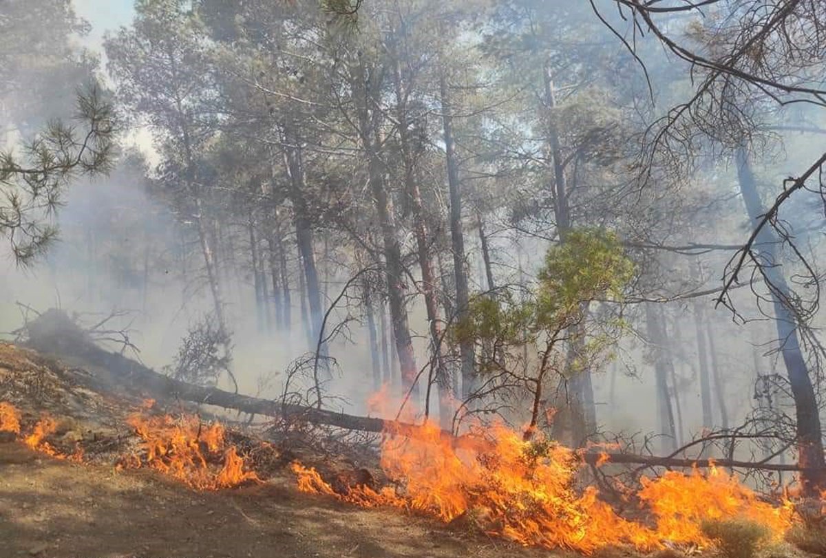 Antalya Kaş ta orman yangını!