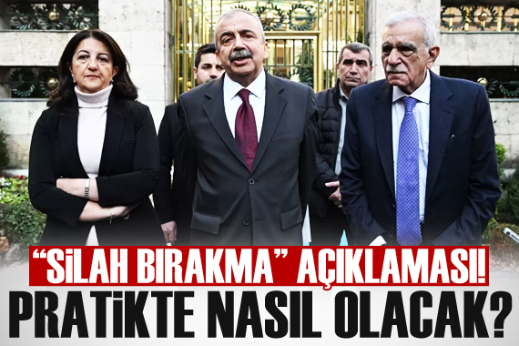 Sırrı Süreyya Önder den  silahların bırakma  açıklaması