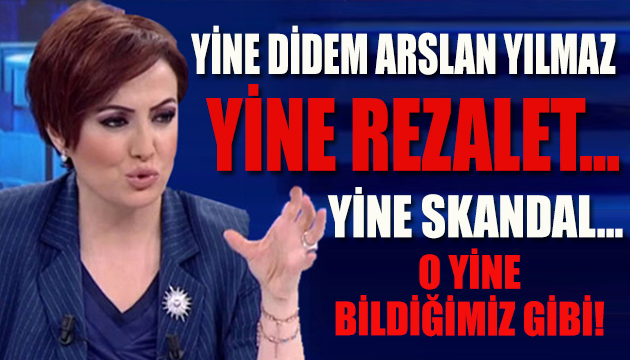 Didem Arslan Yılmaz istedi, İBB işten attı!