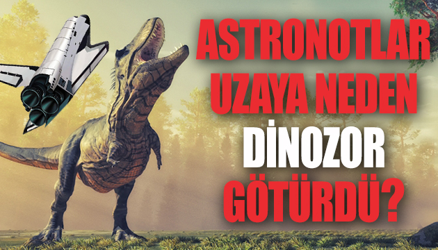 Astronotlar uzaya neden dinozor götürdü?