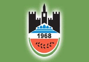 Diyarbakırspor Küme Düştü!