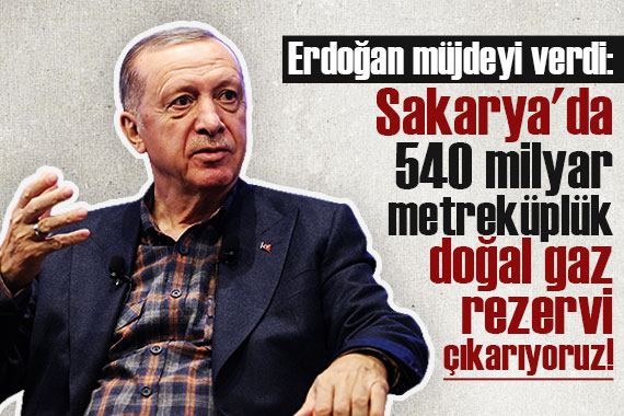 Cumhurbaşkanı Erdoğan dan doğal gaz açıklaması