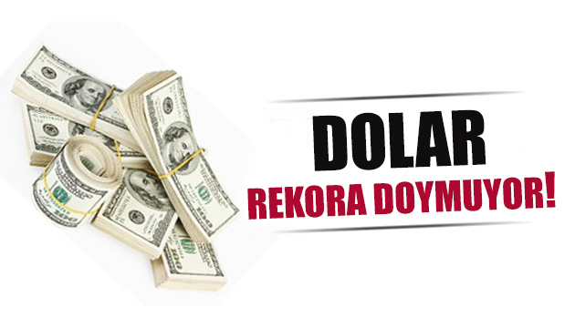 Dolar rekora doymuyor!