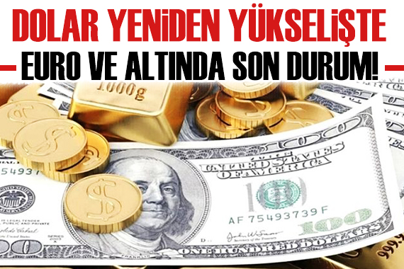 Dolar yükselişini sürdürüyor! Dolar bugün ne kadar? Dolar kaç TL?