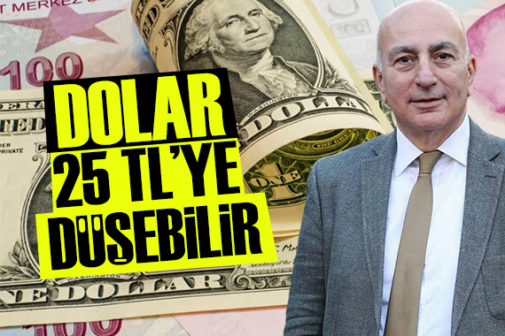 Mahfi Eğilmez: Dolar 25 TL ye düşebilir