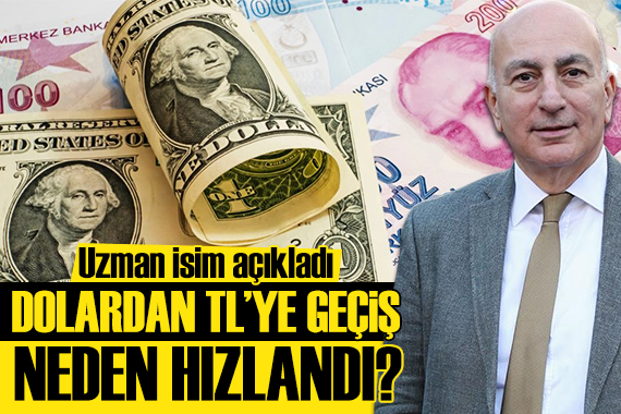 Deneyimli iktisatçı Eğilmez yazdı: Dolardan TL ye geçiş neden hızlandı?