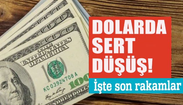 Dolar faiz artırımının ardından düşüşte