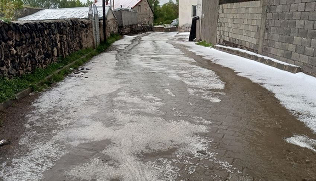 Ağrı ve Kars ta sağanak yaşamı olumsuz etkiledi