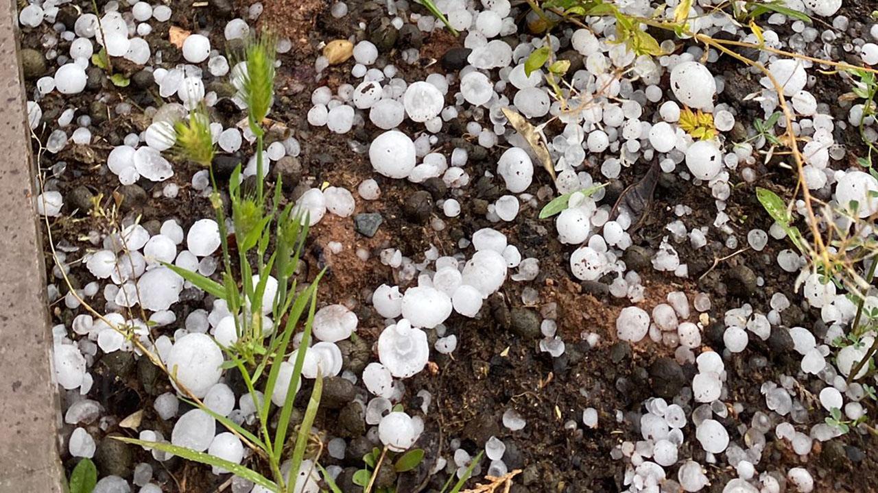 Isparta da dolu yağışı 100 milyon lira zarara uğrattı