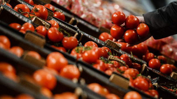 60 ton domates Türkiye ye geri gönderildi
