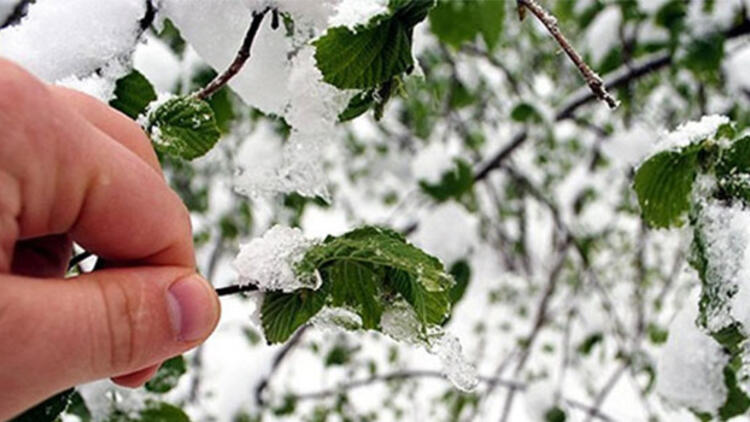 Meteoroloji den yağış ve don uyarısı