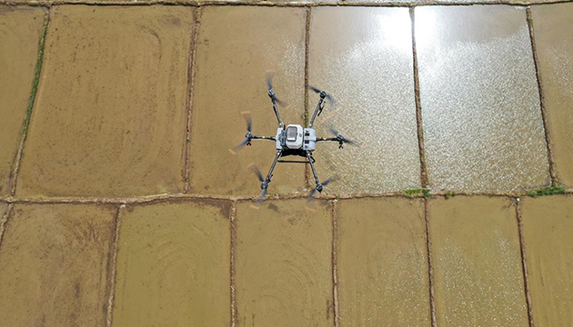 Dron ile çeltik ekimi başladı!