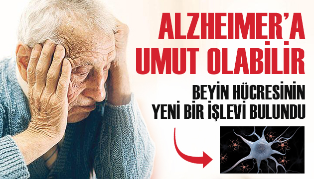 Alzheimer’a Umut Olabilir!
