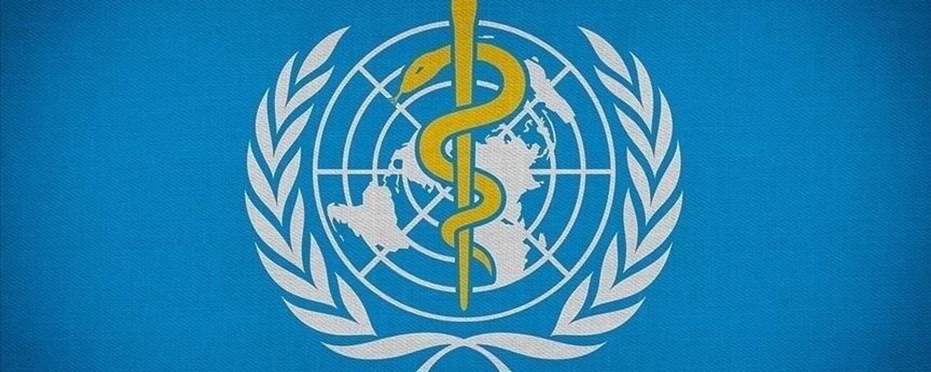 Dünya Sağlık Örgütü (Dsö) Nedir? Dsö Görevleri Nelerdir, Üye Ülkeler Kimlerdir?