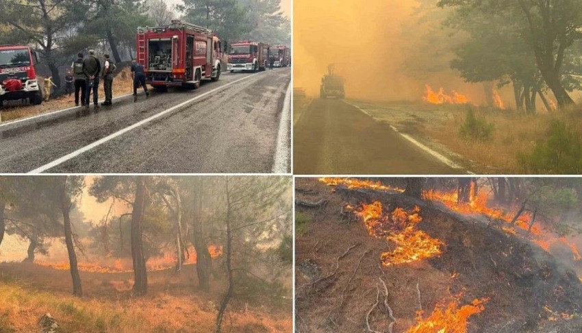 Balıkesir'de orman yangınında kahreden ihmal! 2 kişi tutuklandı