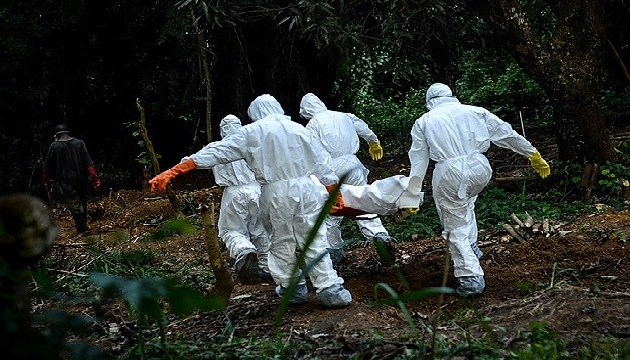 Ebola virüsü Afrika turizmini de  hasta etti !
