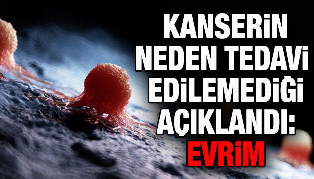 Kanserin neden tedavi edilemediği açıklandı: Evrim