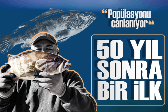 Kuzey Ege de sevindiren gelişme: 50 yıl sonra bir ilk!