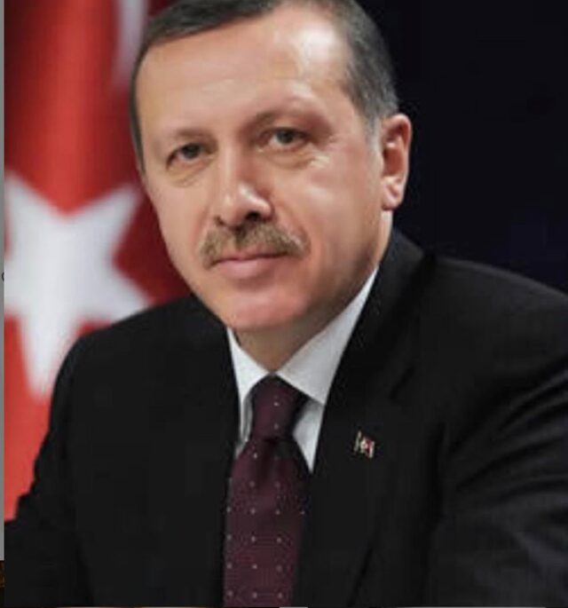 Tuğba Ekinci den Recep Tayyip Erdoğan a tam destek