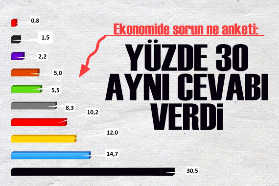 ASAL Araştırma dan  Türkiye ekonomisinin en önemli sorunu nedir  anketi: Vatandaşın yüzde 30 u aynı şeyi düşünüyor!