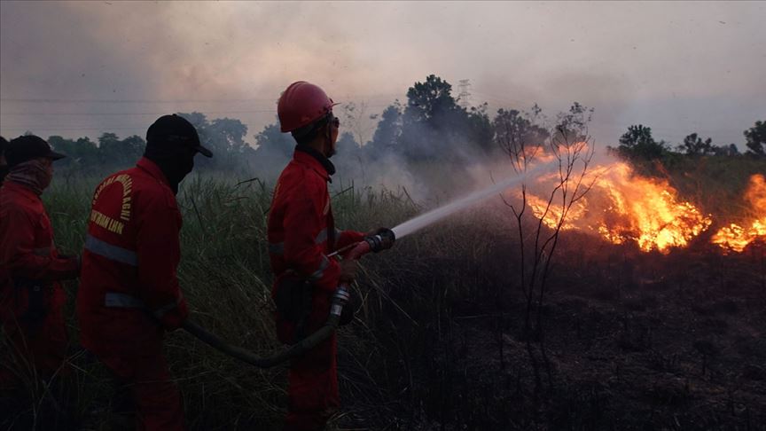 Endonezya da orman yangınları hayatı zorlaştırıyor