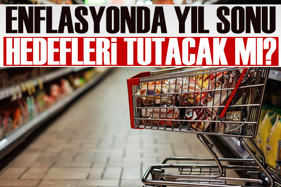 Alaattin Aktaş yazdı: Enflasyonla gerçekten mücadele ediliyor mu?