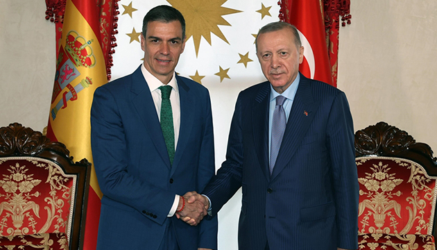 Erdoğan dan kritik görüşme