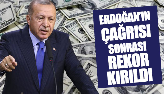 Erdoğan ın çağrısı sonrası rekor kırıldı