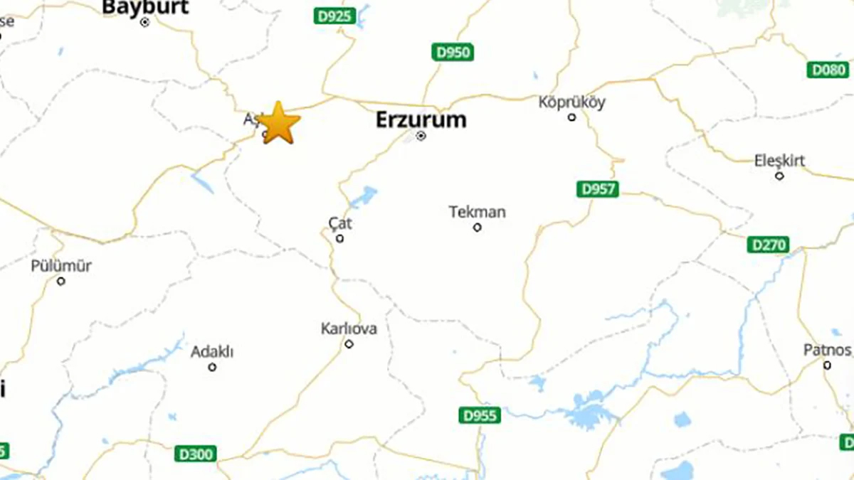 Erzurum da korkutan deprem