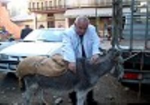  Smoke  Çocuklar İçin ABD Yolcusu 