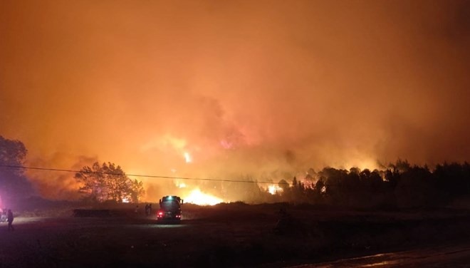 Bursa da orman yangını