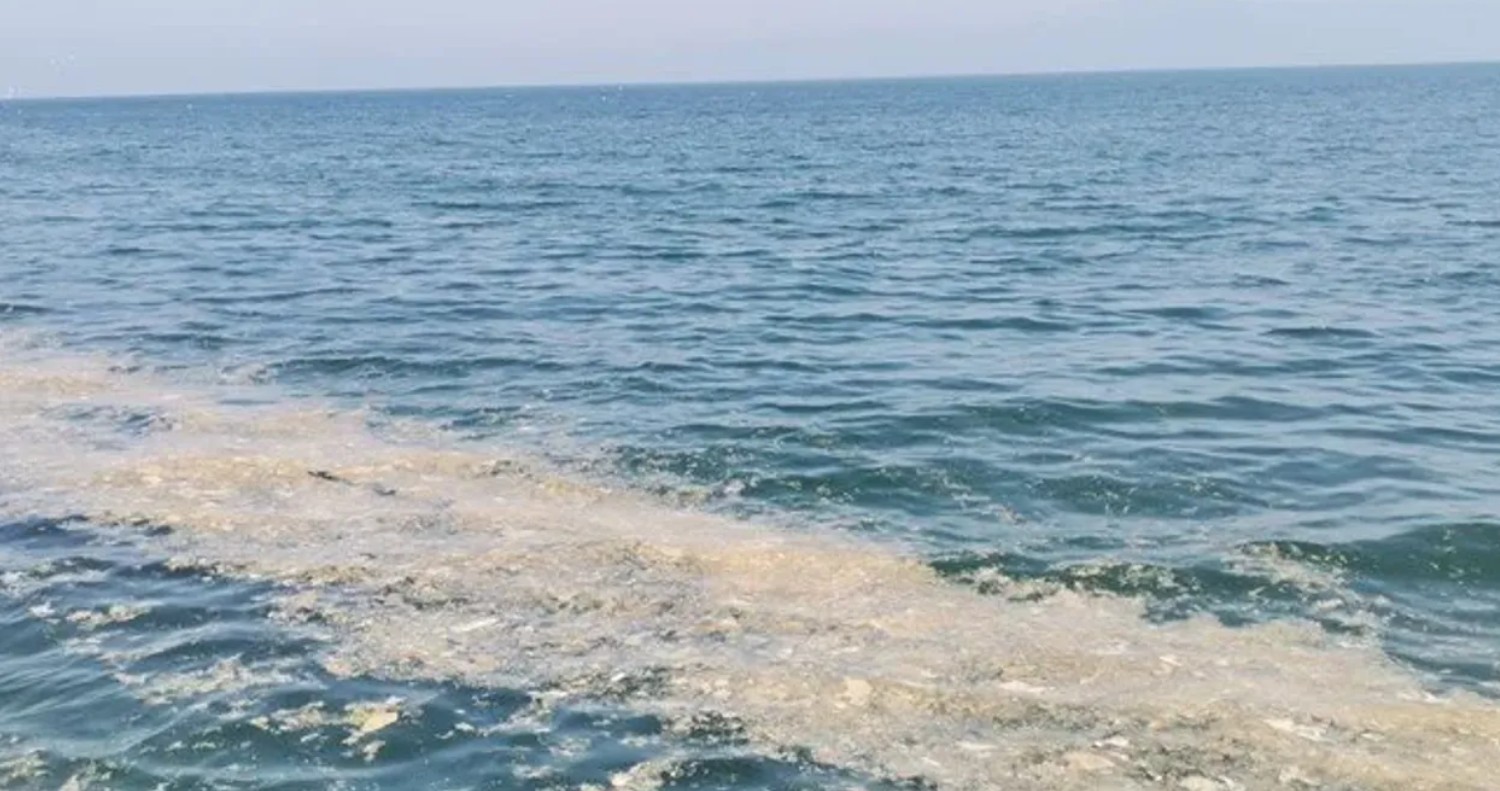 Bu kez Yalova nın Armutlu kıyılarında müsilaj görüldü