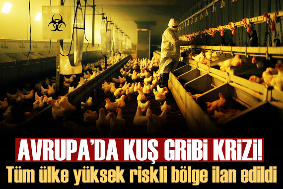Avusturya nın tamamı kuş gribi bulaşma riski yüksek bölge ilan edildi