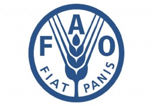 FAO dan Tacikistan ve Kırgızistan raporu!